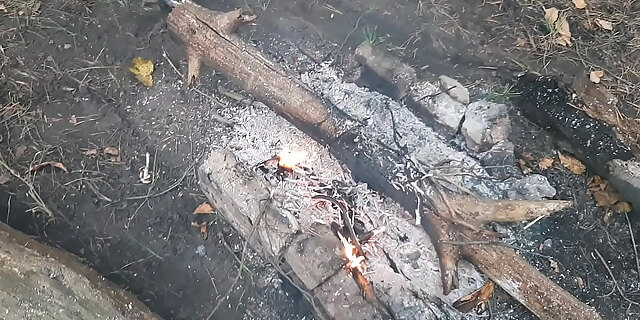 cunnilingus,lesbian,orgasm,outdoor,public,pussy,sex